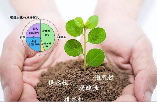 含量_蔬菜_微生物