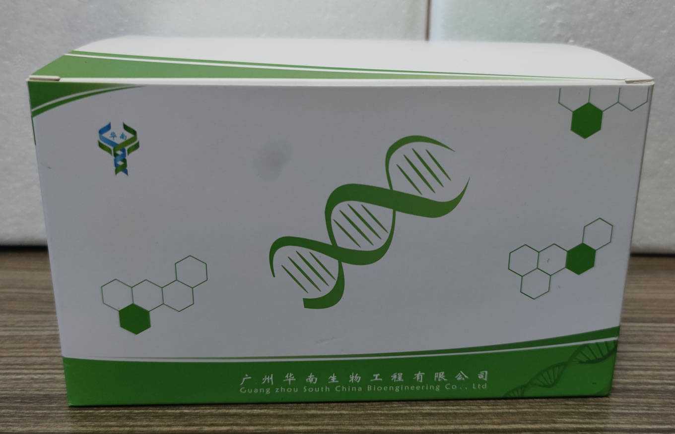 h7h5亚型禽流感抗体检测卡