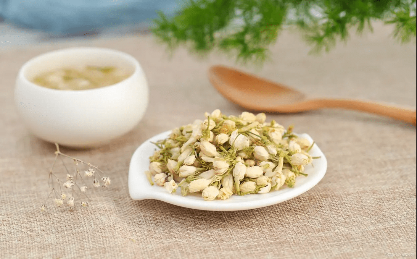 探寻广西横县茉莉花的馥郁之源,感受千年花语的醉人魅力_花朵_生活