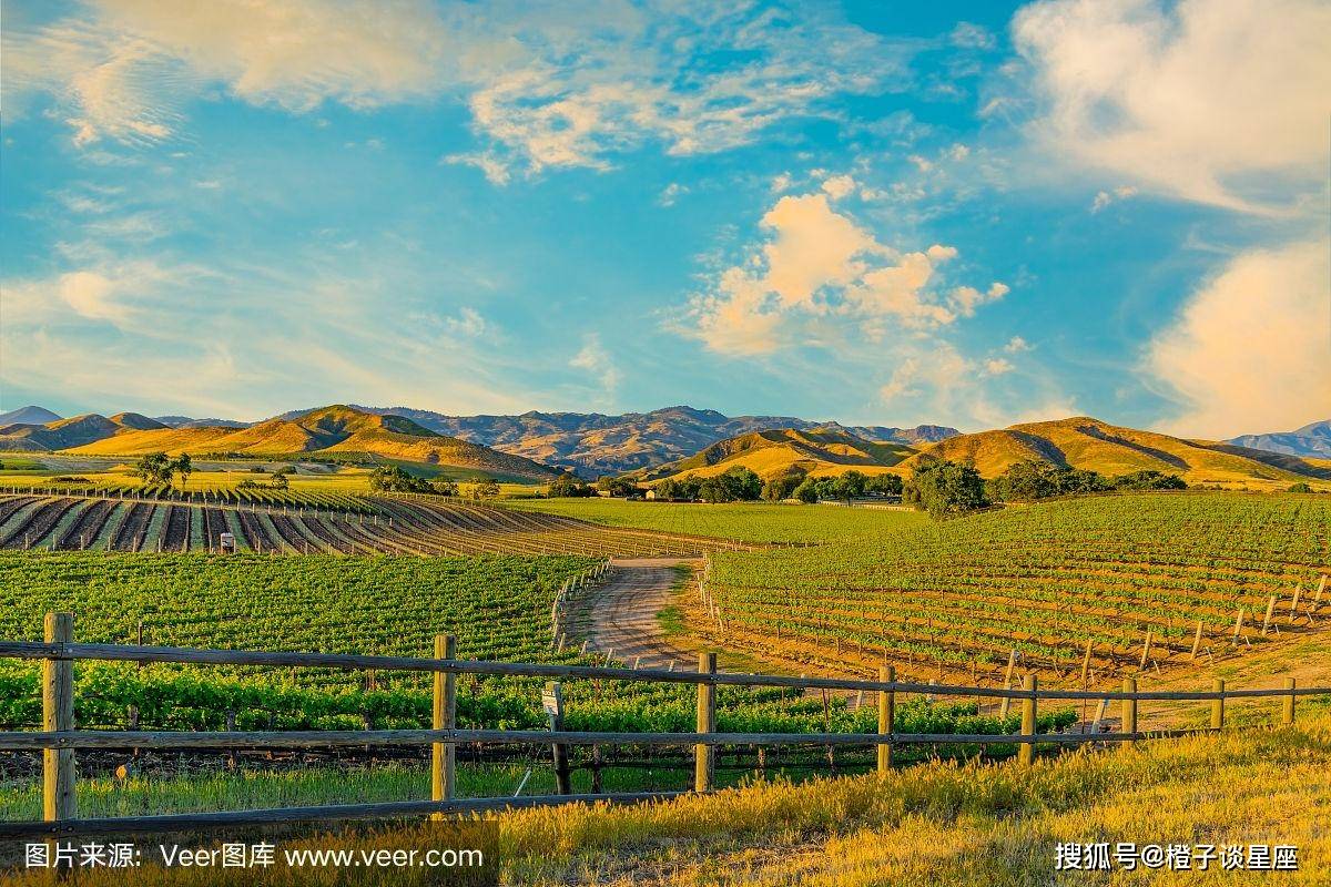 1月,吉星拱照,有福有横财,飞黄腾达,事业高升,喜事连连的4生肖_月份