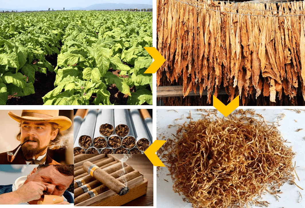 tobacco track and trace system Tobacco Track and Trace System: Q&A - Delta Baco