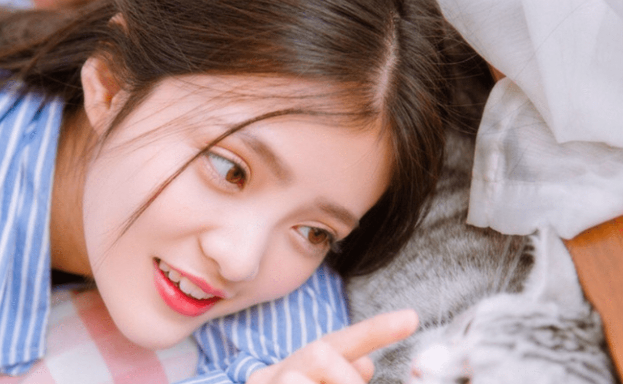 从五月份开始会朝气蓬勃元气满满人生逆袭的五大生肖