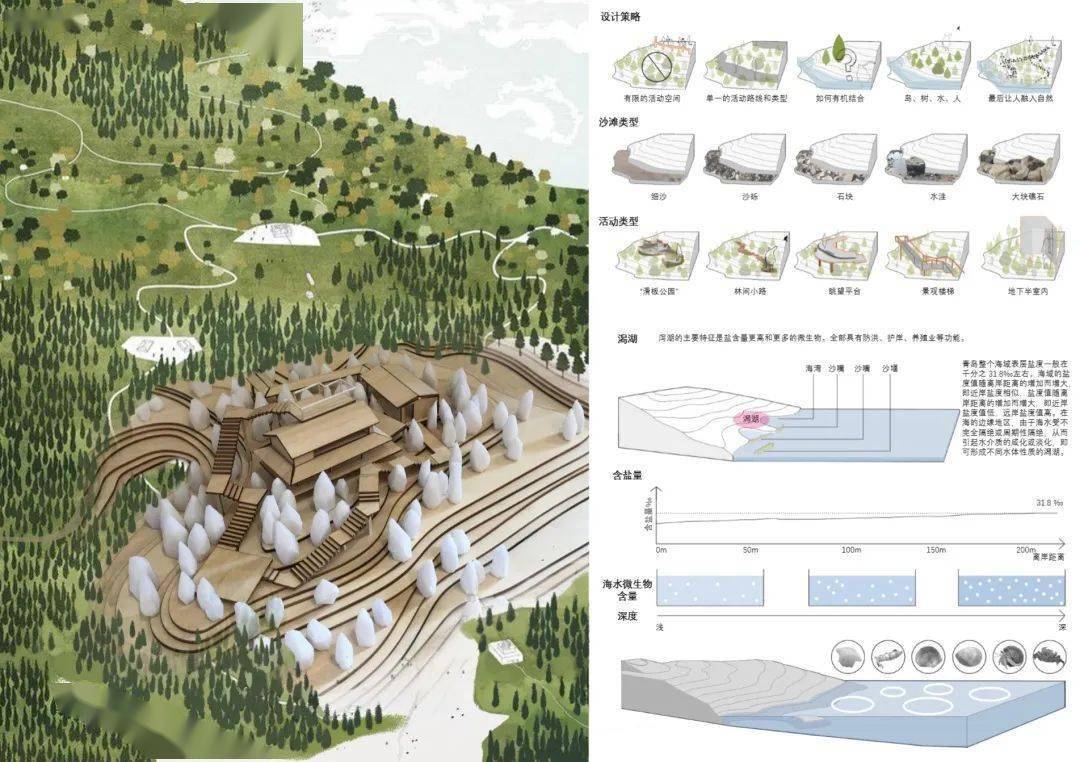 中國人民大學2020屆設計系景觀建築專業畢業生作品展示