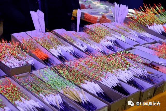 凤凰花卉渔具展览会即将开幕!