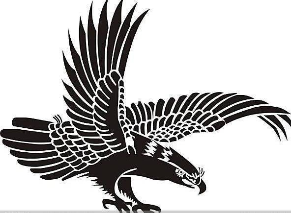 褪毛于幽梦再生似鲲鹏