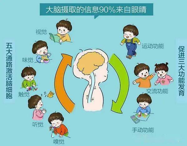 婴幼儿视觉发育的特点