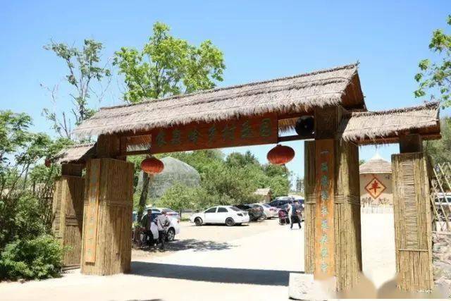 周末就要过得不一样!_长春市