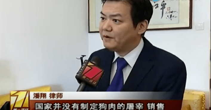 重磅禁食猫狗的法案通过了我国已全面禁食猫狗