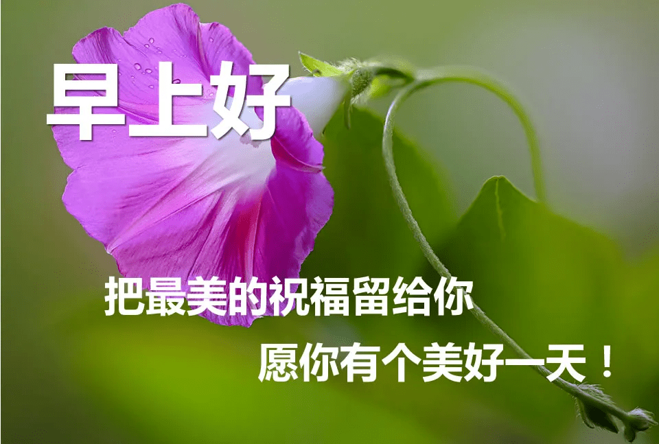 早上好祝福語圖片大全動畫六月早上好表情問候語