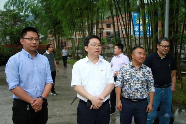 张成慧深入武曲镇,凤阳镇调研指导工作