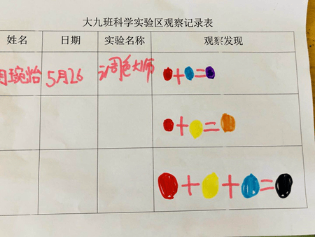 活动掠影大九班科学区活动颜色变魔术