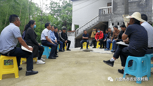 市农业农村局党组书记,局长李明到钟山区指导小康菜园建设