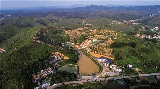 从"穷到精光"到现在走上"金光大道",紫金的这个村是怎么做到的?