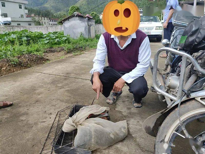 严惩顶风作案永春警方抓获一名非法捕猎野生动物嫌疑人