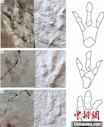 汪筱林团队在新疆准噶尔盆地早白垩世乌尔禾翼龙动物群中新发现兽脚类