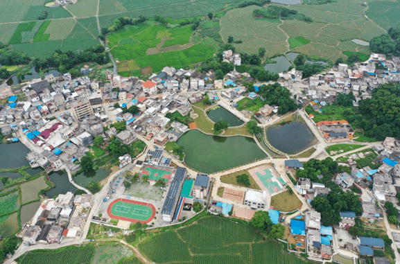 英德东华双寨村:走地鸡摇身一变成脱贫"致富鸡"!_东华镇