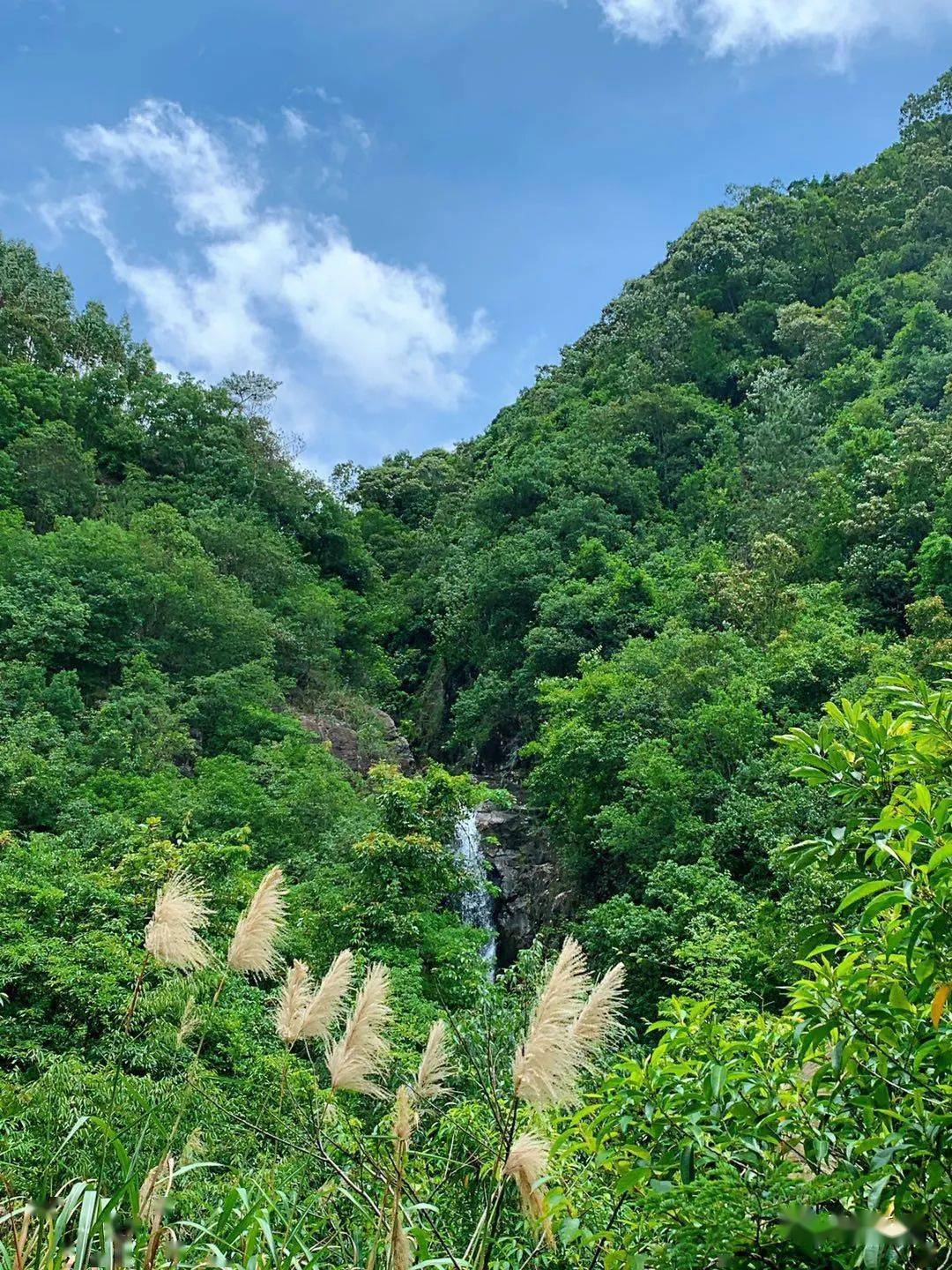 梅州市五华龙狮湖飞瀑美景惹人醉——龙狮湖神奇的九寨沟