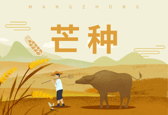 芒种悄然至希望播撒时