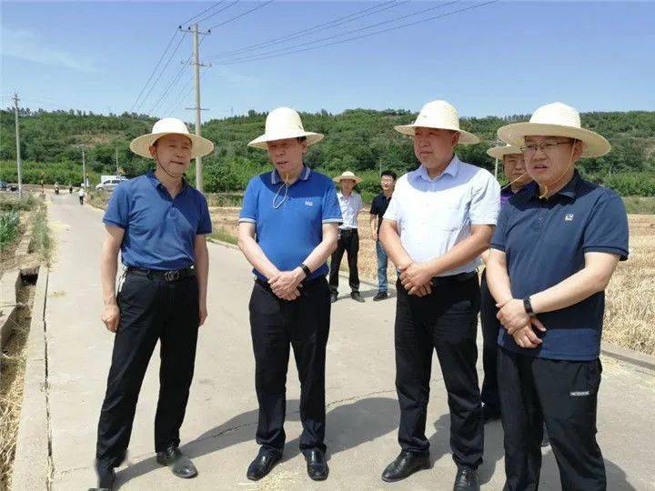 区委书记霍铁桥在千渭街道检查三夏工作开展情况