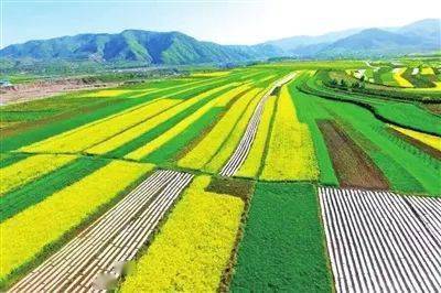 守好生态环境生命线 打赢脱贫攻坚决胜战——固原市