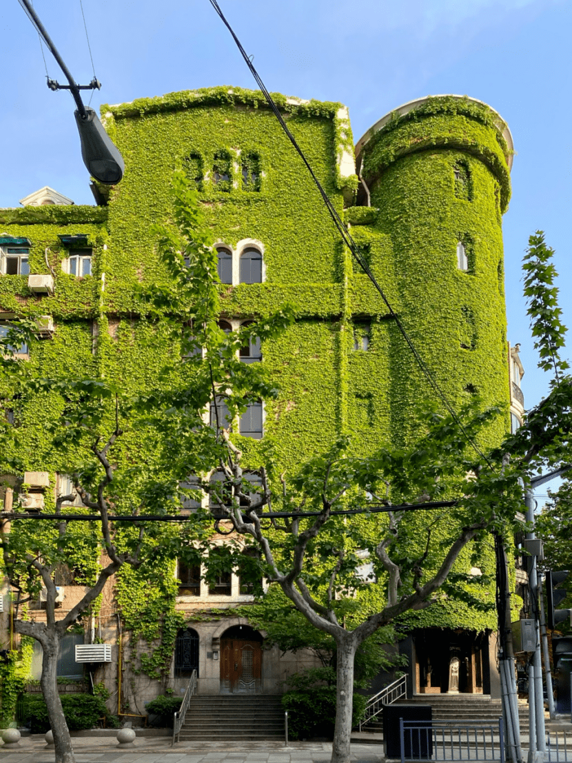 上海小马路上的这座绿楼火了