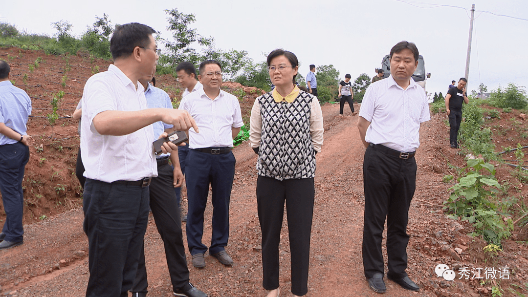 饶利萍到我区调研富硒产业发展情况