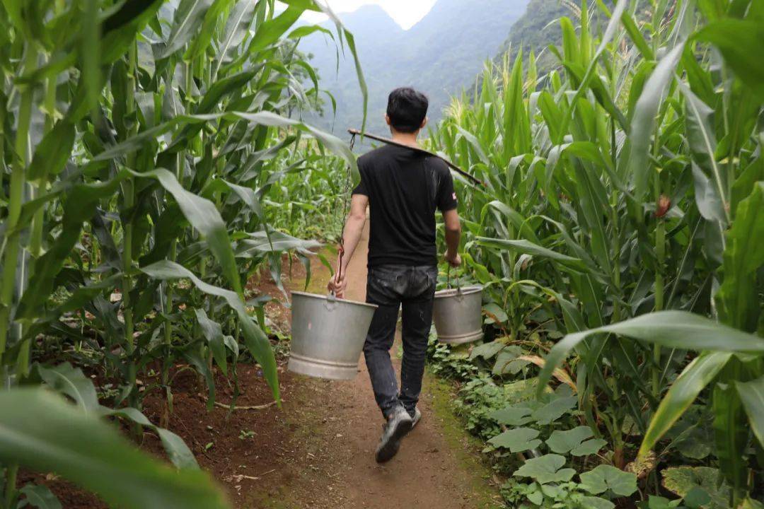 毛南族村民莫顺严,每天都要走上二十多分钟山路,才能走到水井挑水.