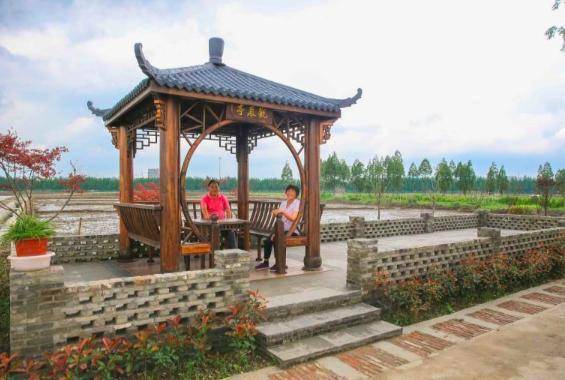 松江这个镇的乡屋头成为城市孩子心头好