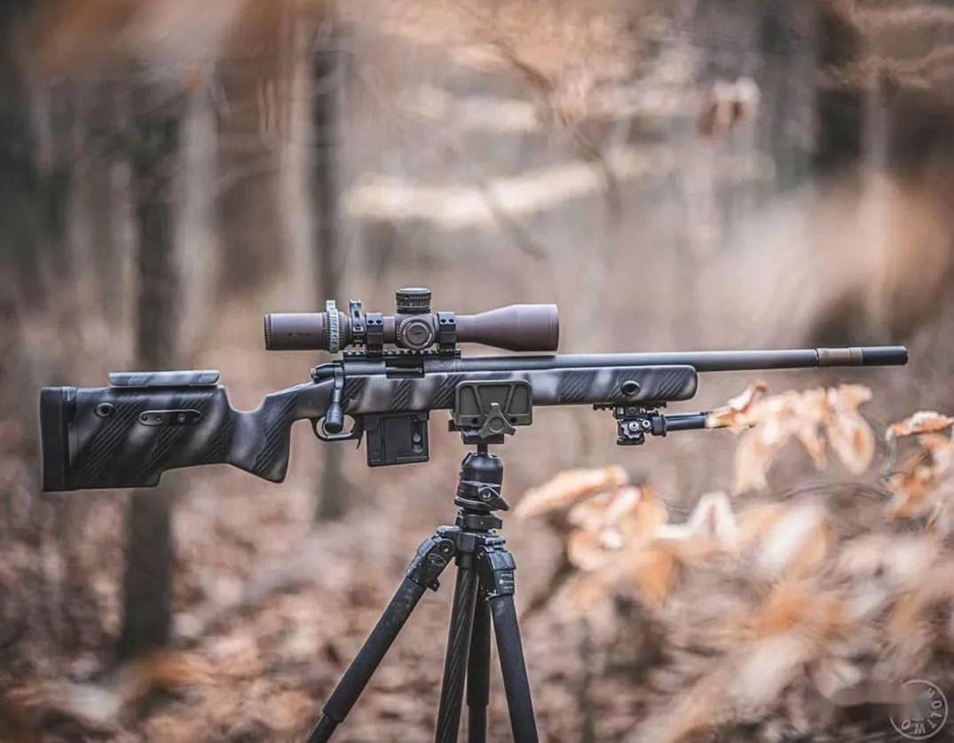 让子弹飞一会儿远程射击枪械图集