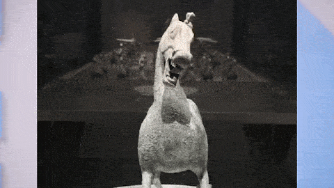 贴心的三毛仔早就为大家从中挑选出10位最具有杀伤力的表情包练习生