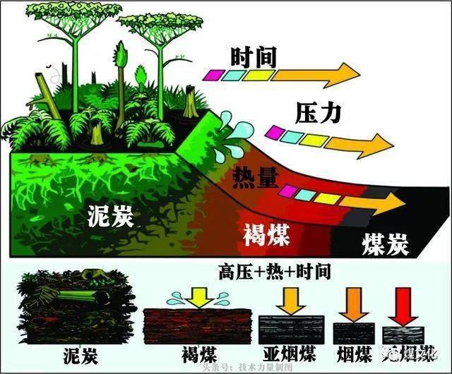 煤炭为什么这么“脏”？_化学