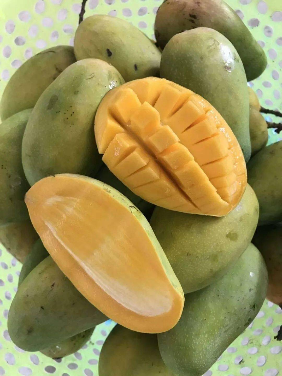 优惠团品→甜心芒(小金煌芒),甜度高,皮核薄,熟果收到基本就能吃!