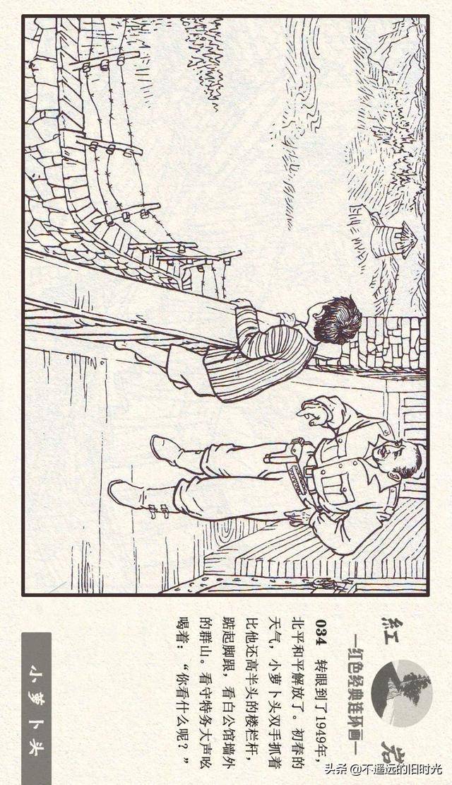 红岩之七小萝卜头河北美术出版社2011施肇祖周琳绘