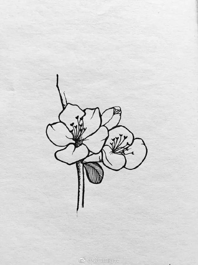 一支笔就可以画工具:针管笔,铅笔(先用铅笔起稿)再用针管笔勾边首先画