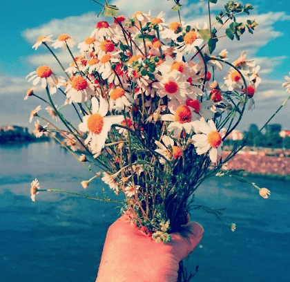 感情的世界里 别看轻自己 但也别把自己看得太重要 腾讯新闻