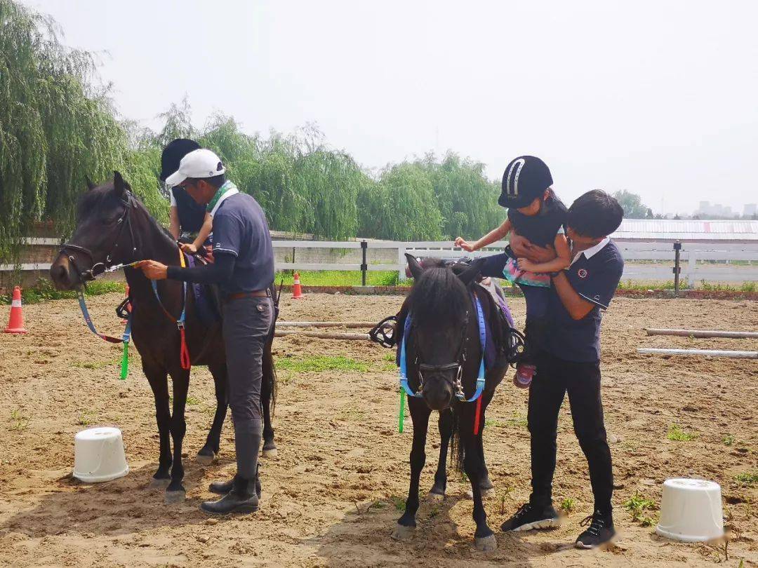 传骑马术丨上马下马需要注意的点有哪些