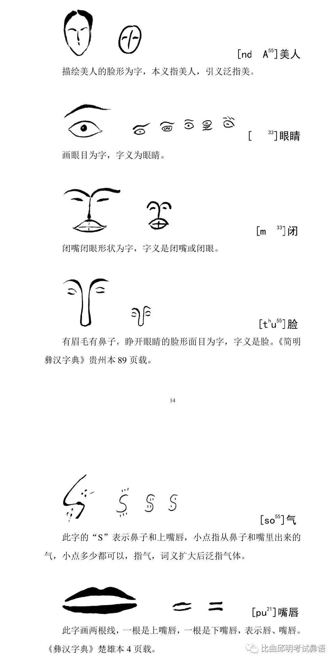 古彝文象形字人体篇会彝语就会读的彝文