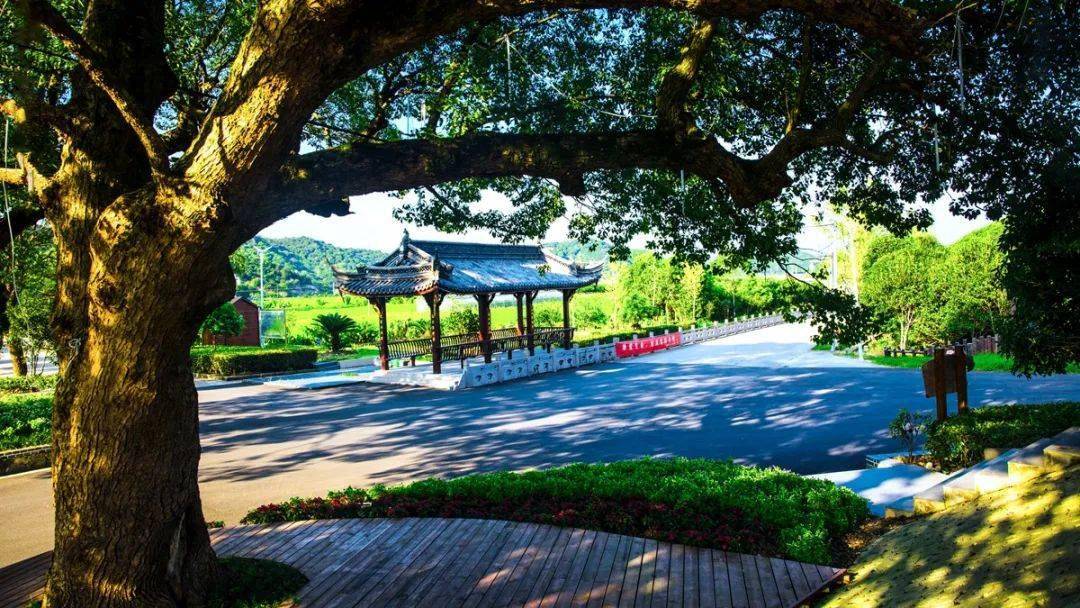 听着歌曲游象山醉美泗洲头