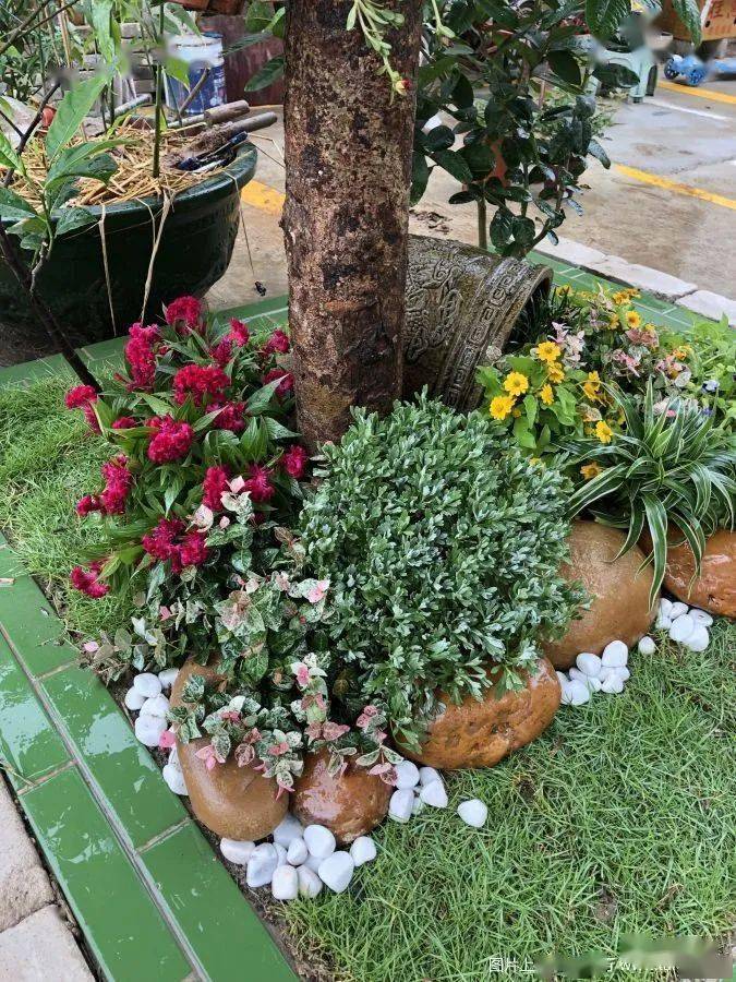 1㎡的小把戏,园艺真会让人上瘾_花盆