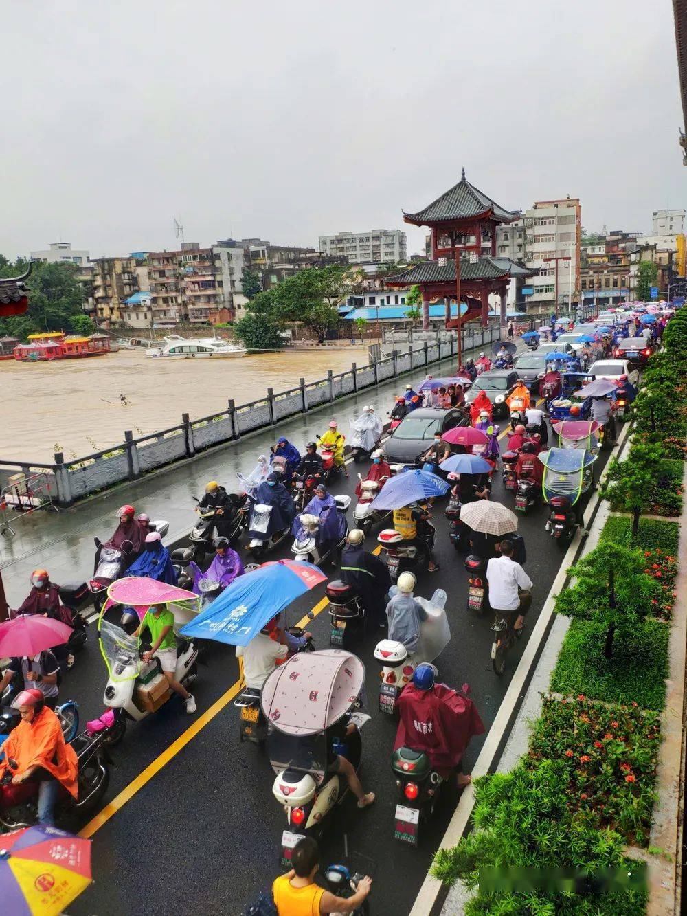 增城人民桥,雁塔大桥恢复通车!