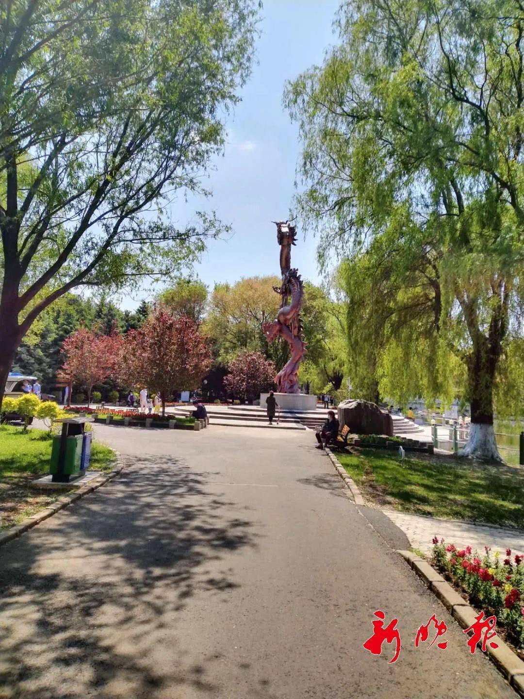 植物園文化公園免費今年哈爾濱再建10個公園還有更驚喜的