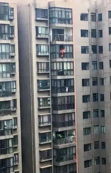 1017丨热点5岁女童悬挂14楼窗外又是他们从天而降