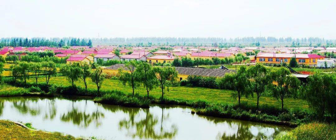 读盘锦得胜村的诗和远方