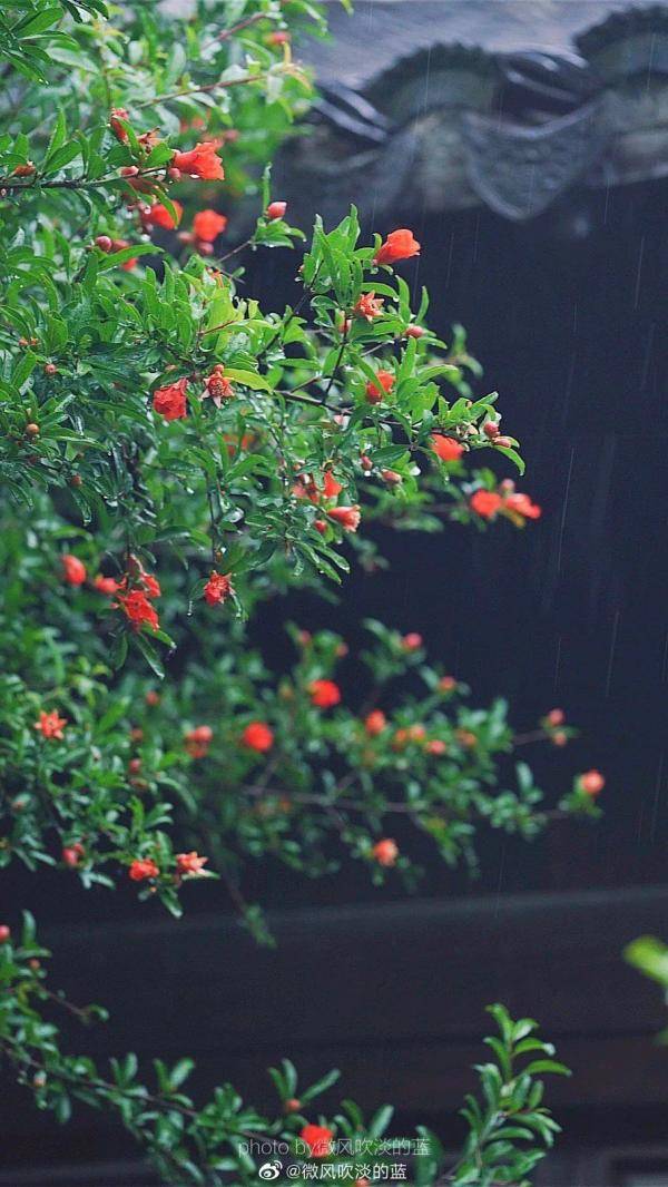 梅雨开场白:先下一场再说!明天夜里见分晓_地区