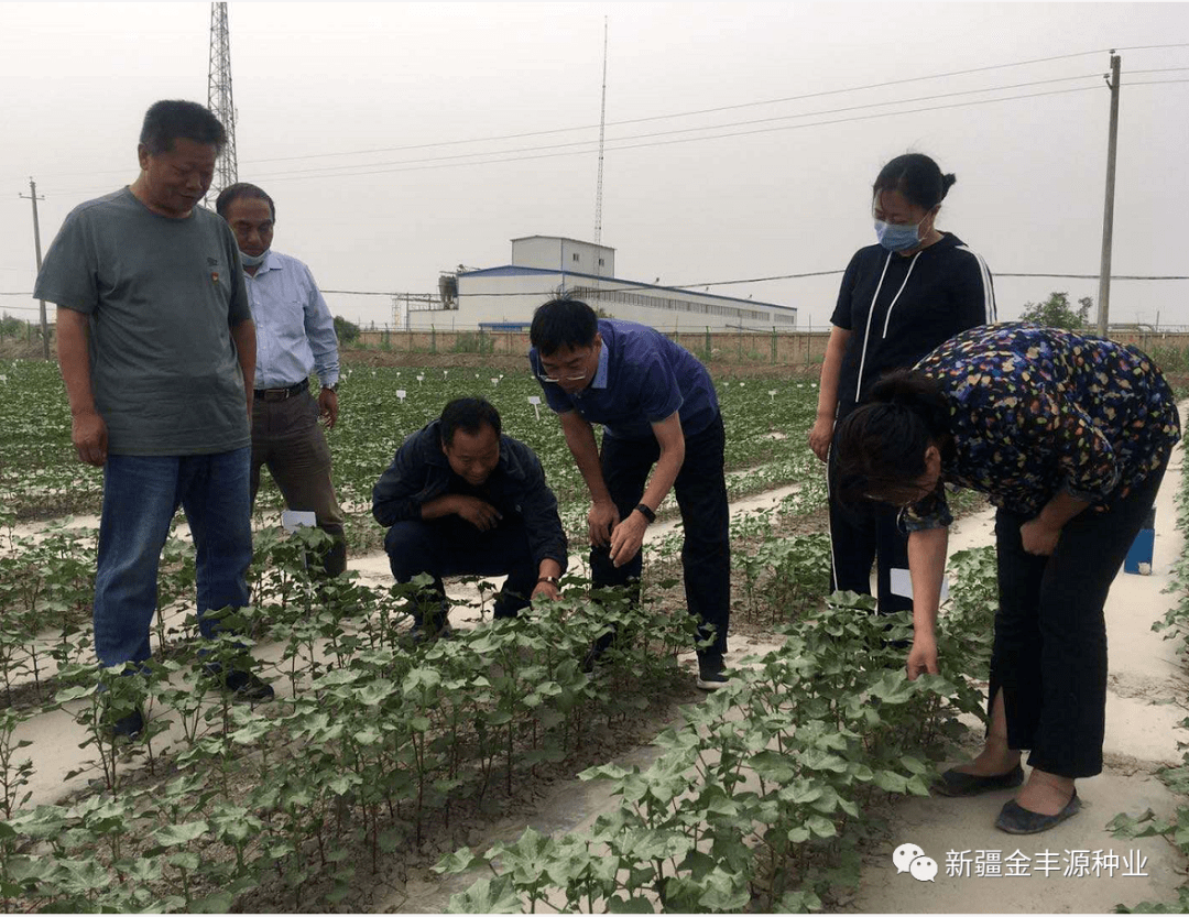 阿克苏地委农办副主任地区农业农村局副局长华伟杰一行到公司视察