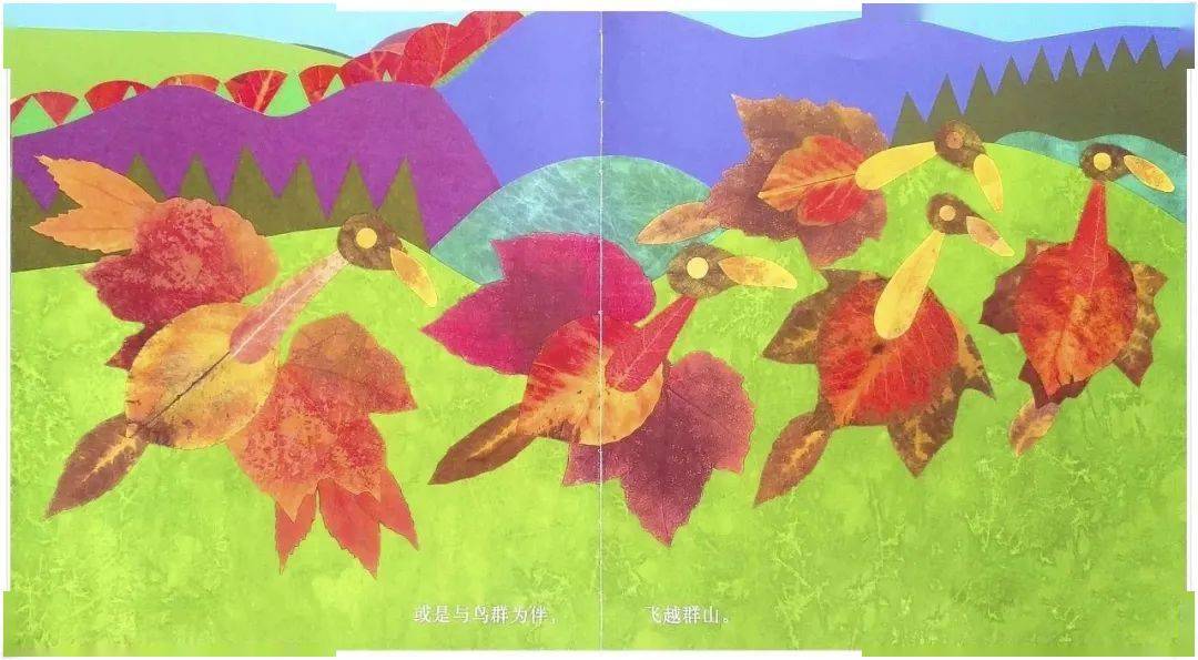 绘本简介《叶子先生》《叶子先生》用16种变色叶——炽烈的枫叶,斑驳