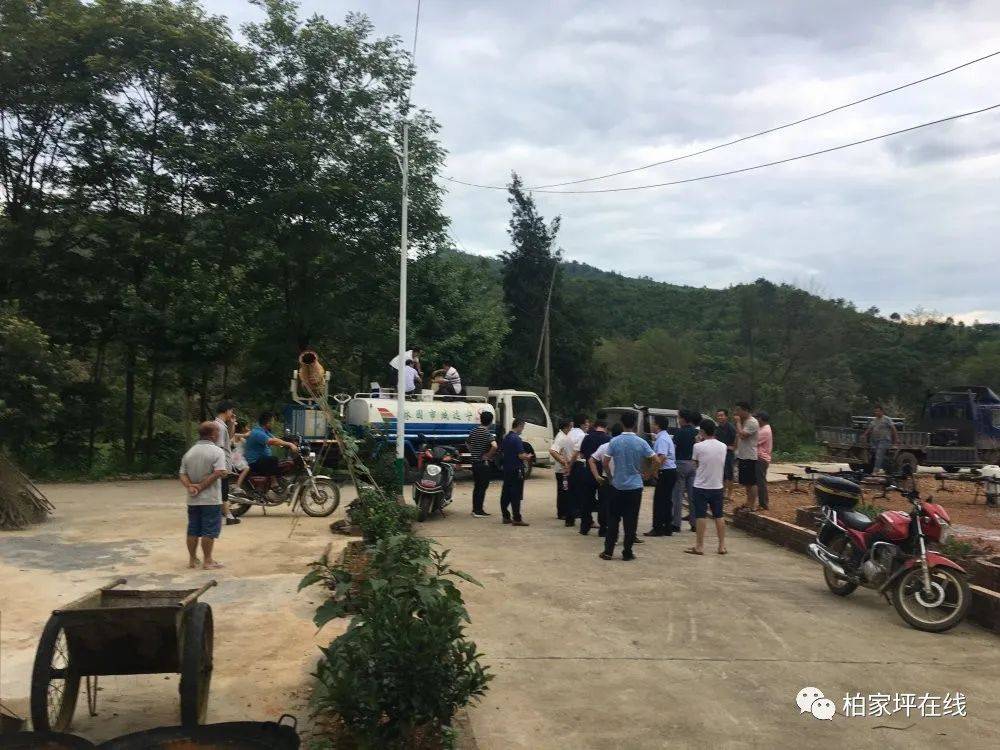 好险宁远礼仕湾村出现好多蝗虫柏家坪镇全力防范蝗虫灾害