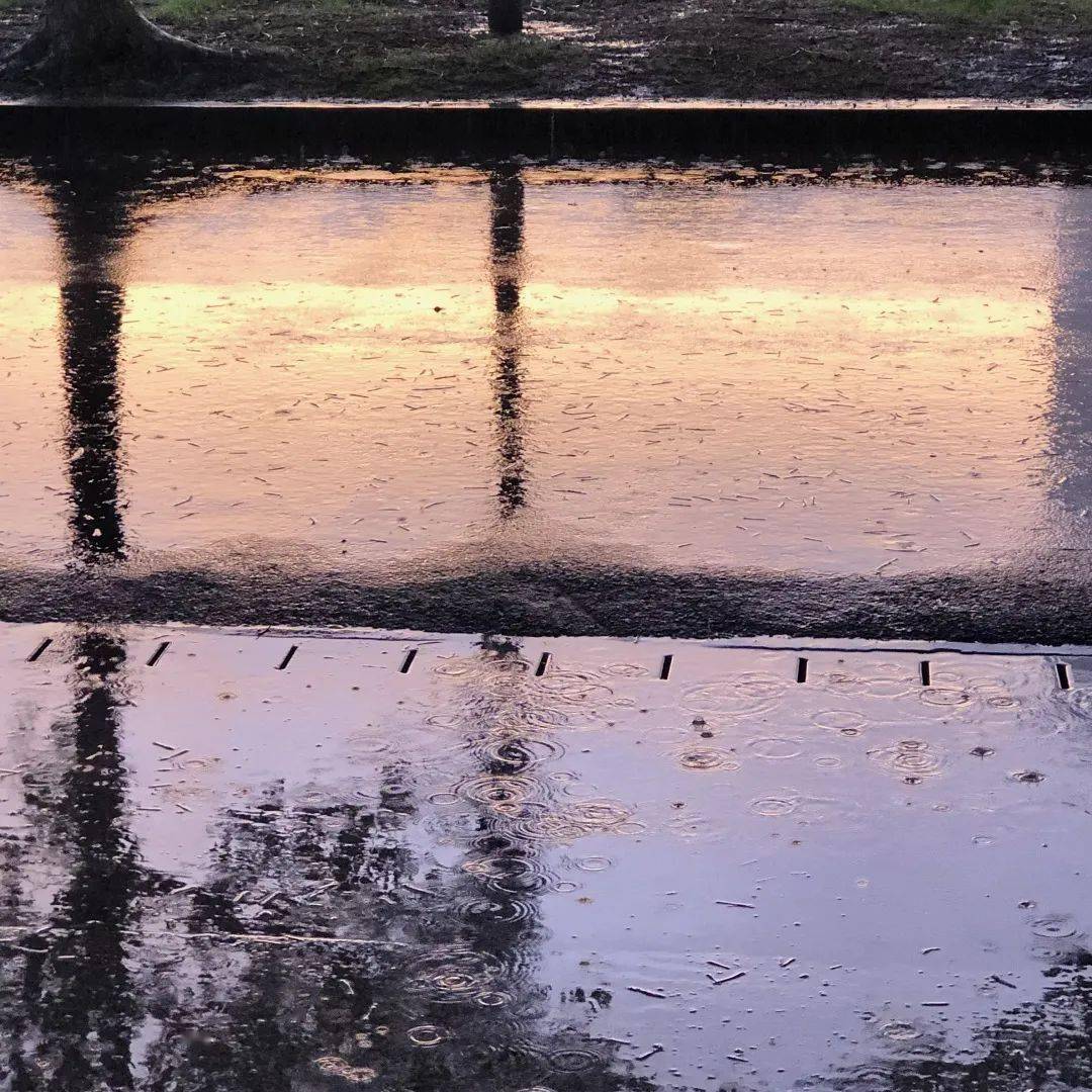 雨后的黄昏 ,万物都显得那么温柔