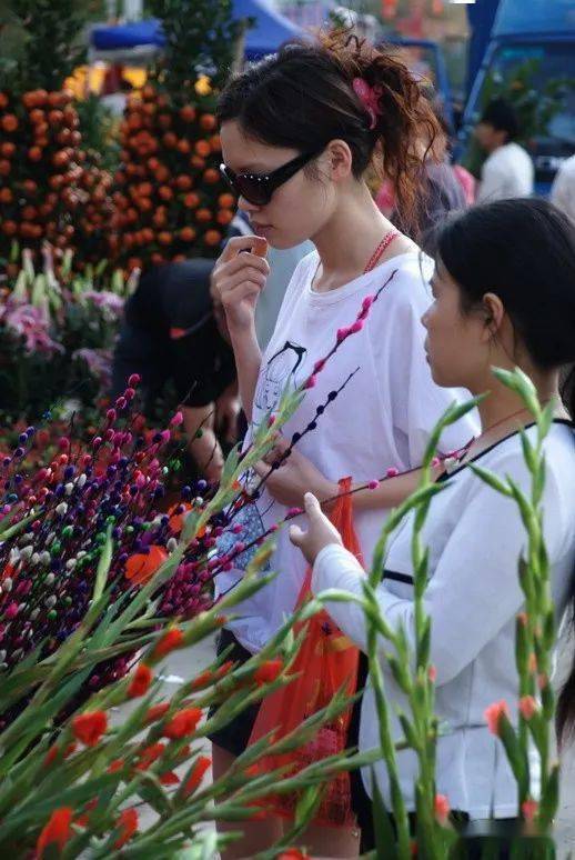 如今,鳳凰花卉不僅是唐山的天然氧吧,也是愛花人士的夢想之地.