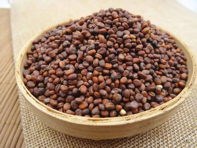 本草中药消食除胀莱菔子